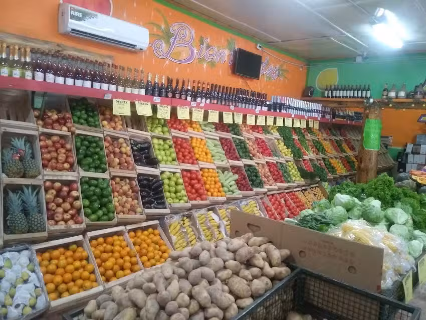 Frutas Y Verduras Matheo