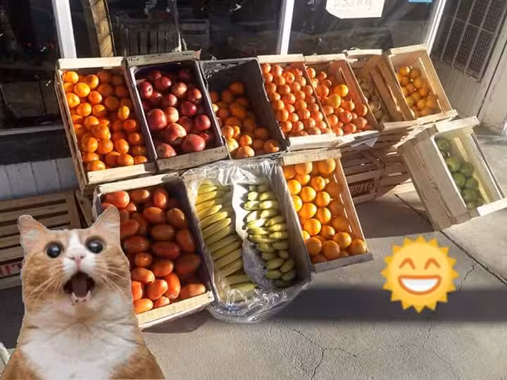 Frutas y Verduras Rocio Oeste