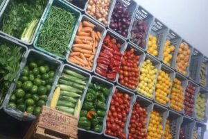 FRUTAS Y VERDURAS THIAGO