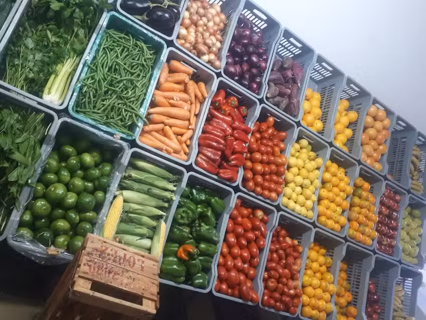 FRUTAS Y VERDURAS THIAGO