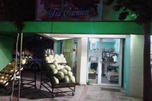 FRUTAS Y VERDURAS T&iacute;a Carmen