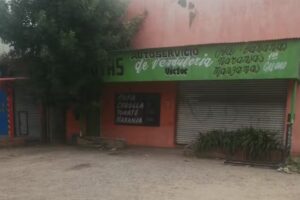 FRUTAS Y VERDURAS Victor