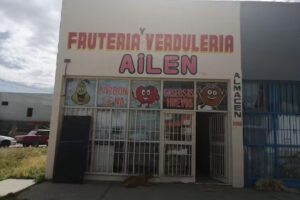 Fruter&iacute;a Ailen