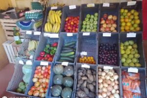 FRUTER&Iacute;A EL NANO