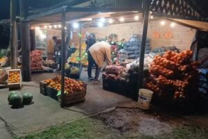 FRUTER&Iacute;A EL POLACO 22