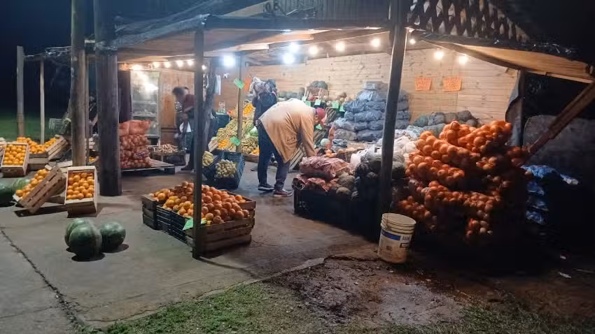 FRUTER&Iacute;A EL POLACO 22