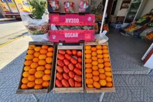 Fruter&iacute;a El Tri&aacute;ngulo
