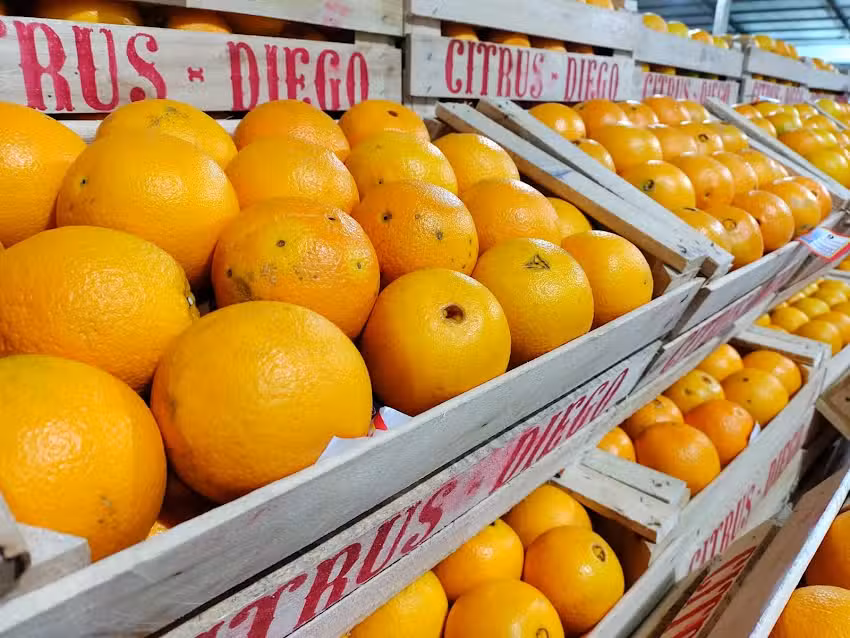 Fruteria LA CABA&Ntilde;A