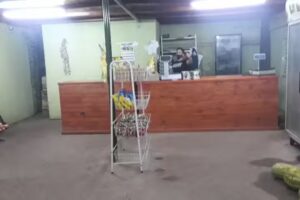 Fruteria LA PAPA LOCA TCG