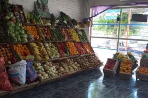 Fruter&iacute;a &ldquo;Las Farolas&rdquo;