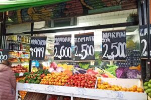 Fruter&iacute;a Nancy