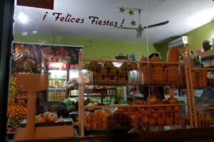 Fruter&iacute;a Pili