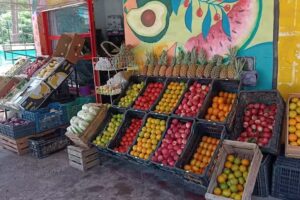 Frutería verdulería alessandro’s