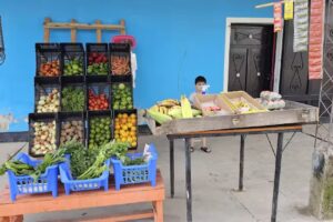 FRUTERIA & VERDULERIA JR