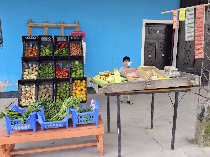 FRUTERIA & VERDULERIA JR