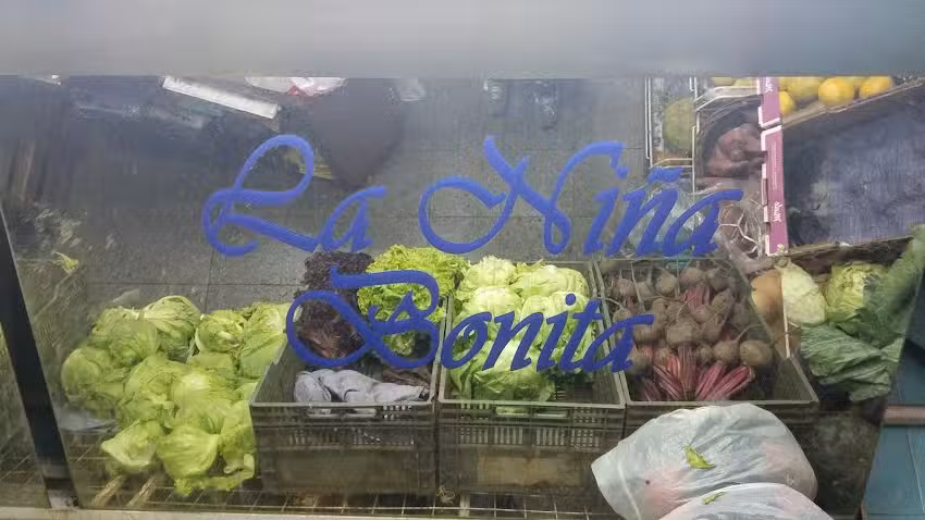 Fruter&iacute;a Verduler&iacute;a La Ni&ntilde;a Bonita