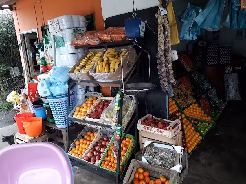 Fruteria & Verduleria &ldquo;Las Nietas&rdquo;