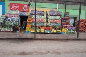 Fruter&iacute;a verduleria los amigos