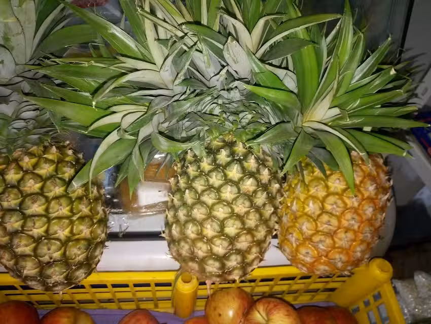 Fruteria, Verduleria y Carnicer&iacute;a &ldquo;El Angelito&rdquo;.