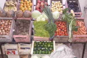 FRUTER&Iacute;A, VERDULER&Iacute;A Y MAXIKIOSCO &ldquo;MARTINA&rdquo;