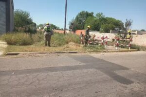 Fruteria Y Verduleria