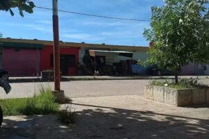 Fruter&iacute;a y Verduler&iacute;a