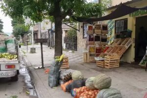 Fruteria y verduleria