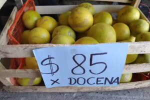 Fruter&iacute;a y Verduler&iacute;a &ldquo;El Carozo &ldquo;