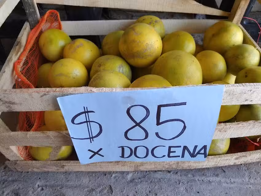 Fruter&iacute;a y Verduler&iacute;a &ldquo;El Carozo &ldquo;