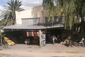 Fruteria y Verduleria &ldquo;El Castillo&rdquo;