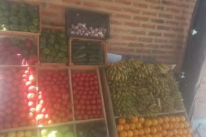 Fruter&iacute;a y Verduleria Fer