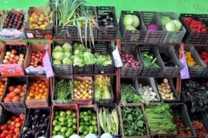 Fruteria Y Verduleria La &frac12; Naranja