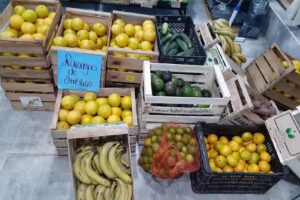 Fruter&iacute;a y Verduler&iacute;a &ldquo;La Rotonda&rdquo;