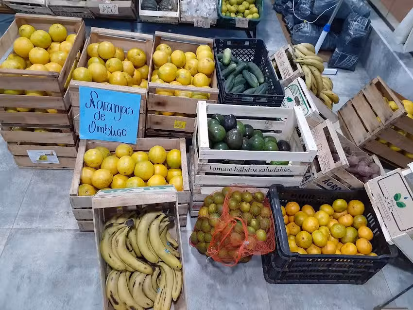 Fruter&iacute;a y Verduler&iacute;a &ldquo;La Rotonda&rdquo;