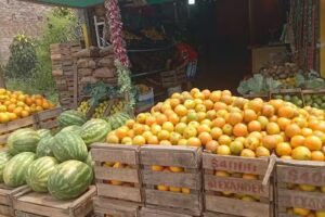 Fruter&iacute;a y Verduler&iacute;a &ldquo;La So&ntilde;ada&rdquo;