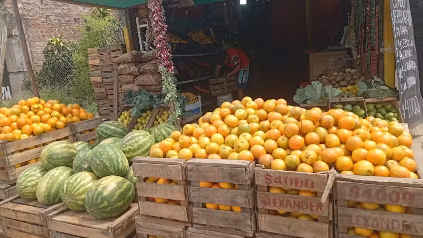 Fruter&iacute;a y Verduler&iacute;a &ldquo;La So&ntilde;ada&rdquo;