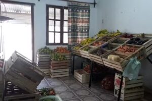 Frutería y Verdulería “LaAvenidaFrut “