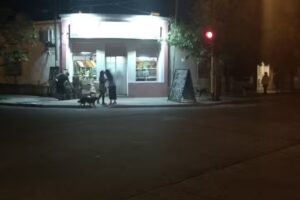 Fruter&iacute;a y Verduler&iacute;a Las Mellizas