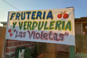 Fruter&iacute;a y verduler&iacute;a las Violetas