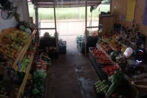 Frutería y verduleria Los Primos