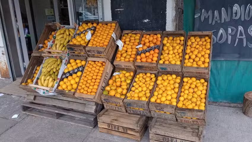 Fruteria y verduleria Los Tamariscos
