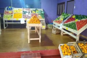 Fruter&iacute;a y verduler&iacute;a maylen