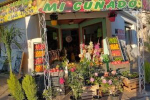 Fruter&iacute;a y verduler&iacute;a mi cu&ntilde;ado