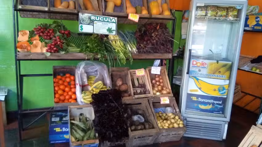 Fruter&iacute;a y Verduler&iacute;a Mongo Aurelio