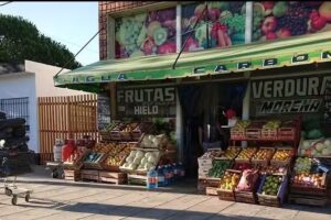 Fruter&iacute;a y verduler&iacute;a MORENA