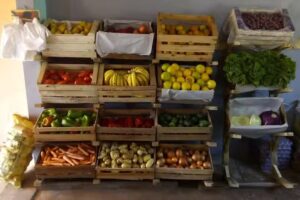 Fruteria Y Verduleria Naranjo En Flor