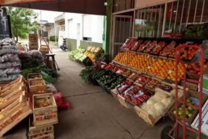 Fruter&iacute;a y Verduler&iacute;a Nico