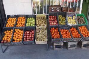 FRUTERIA Y VERDULERIA OHANA