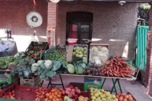 FRUTERIA Y VERDULERIA OLAESE