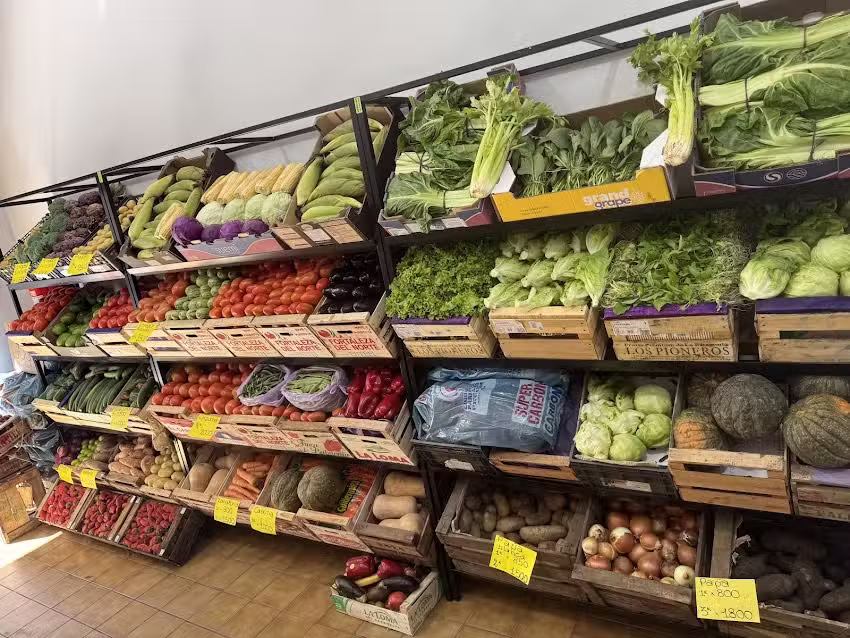 Fruter&iacute;a y verduler&iacute;a rumi